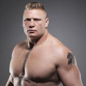 Ww Wwe New Fight Brock Lesnar