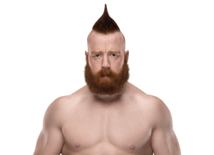 Sheamus first theme