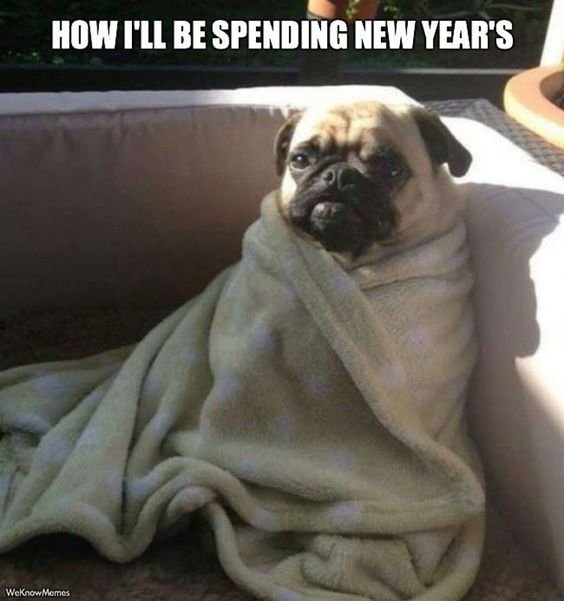 how i will be spending my new year 
