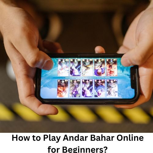 how to play andar bahar online