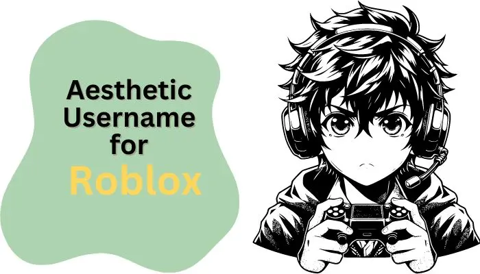 aesthetic username for roblox