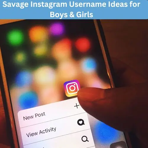 savage username ideas for instagram