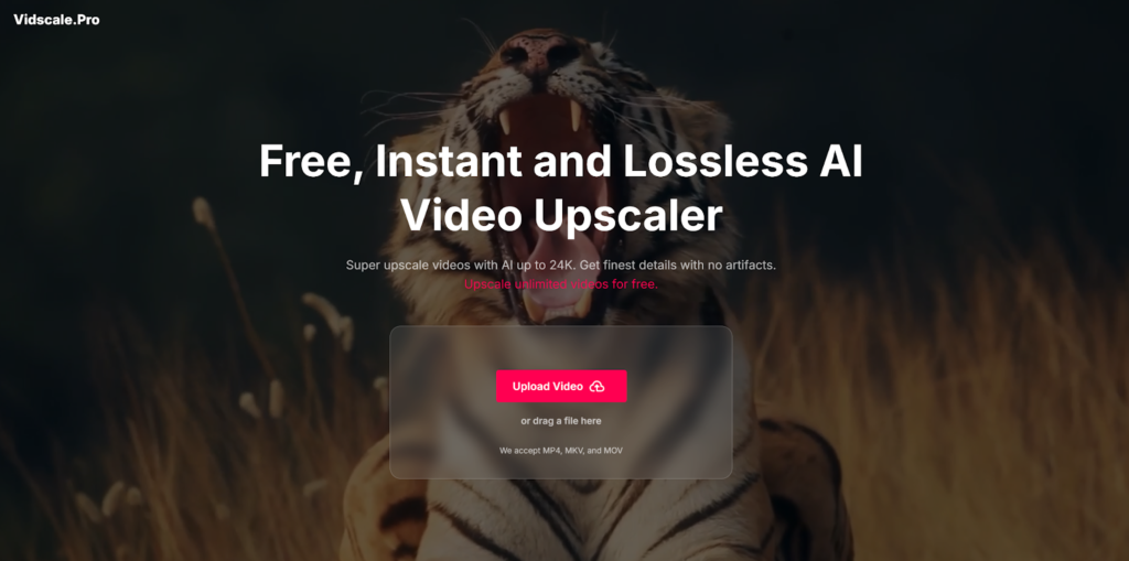 vidscale pro