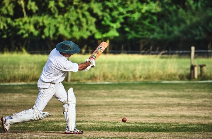Cricket