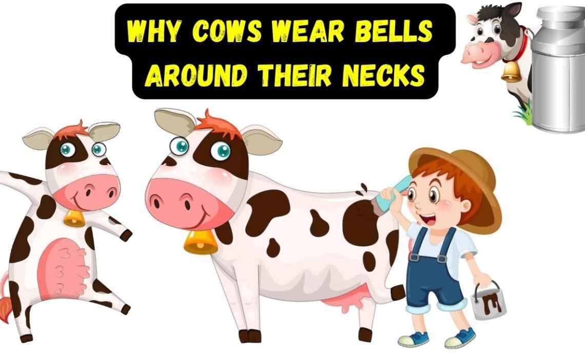 Why Do Cows Wear Bells? 5 Interesting Reasons 2026