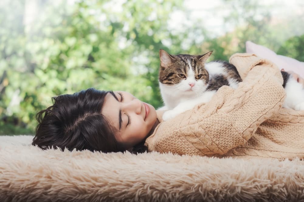 Why Do Cats Lay on Your Chest? Cat Behavior Explained 2026