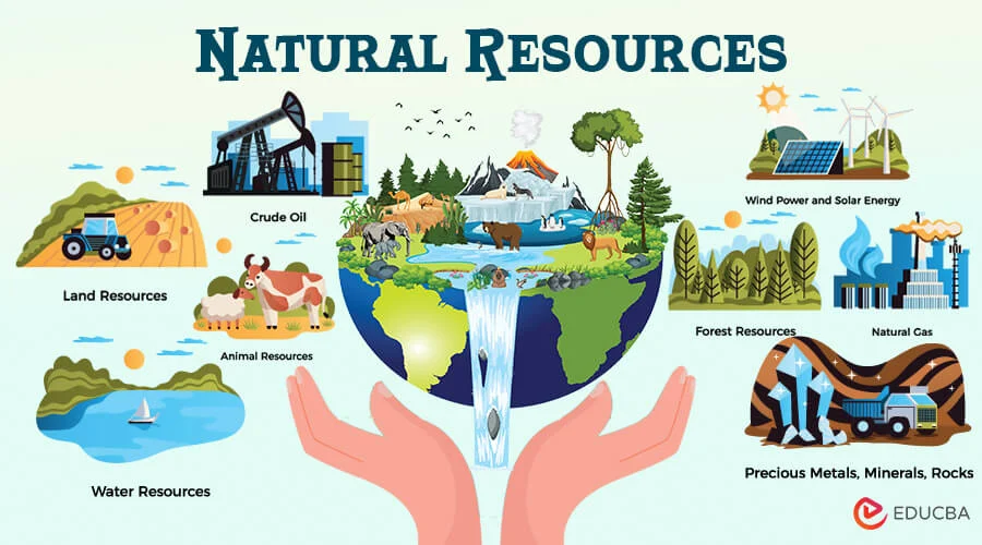 Why Are Natural Resources Important? Facts to Know 2026