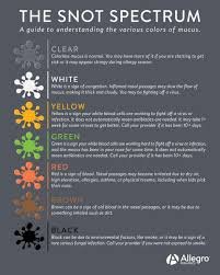 Why Are My Boogers Yellow? Signs of Infection? 2026