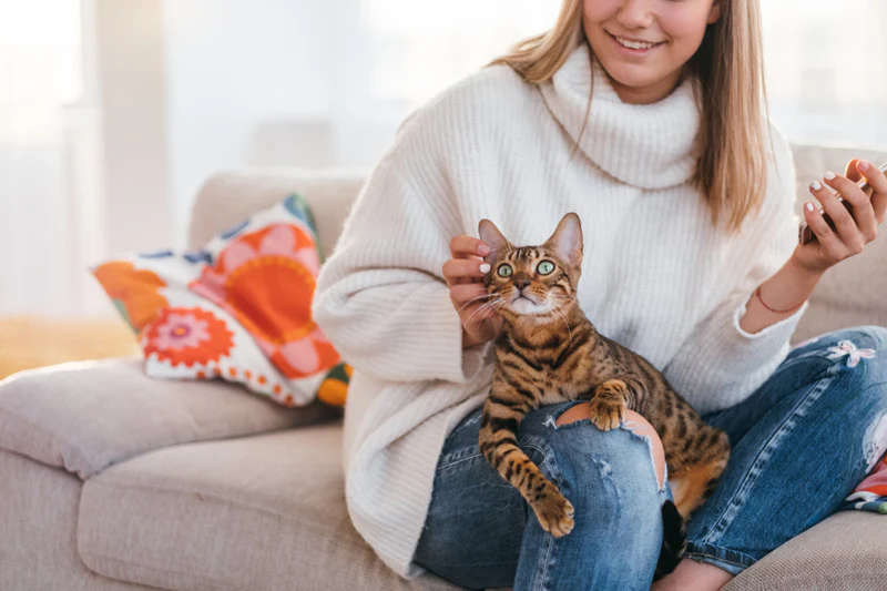 Why Do Cats Lay on You? Cat Behavior Explained 2026