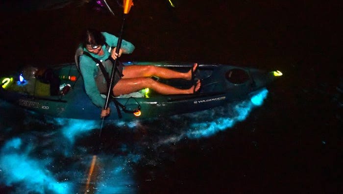 Why Does Cocoa Beach Glow at Night? The Science 2026